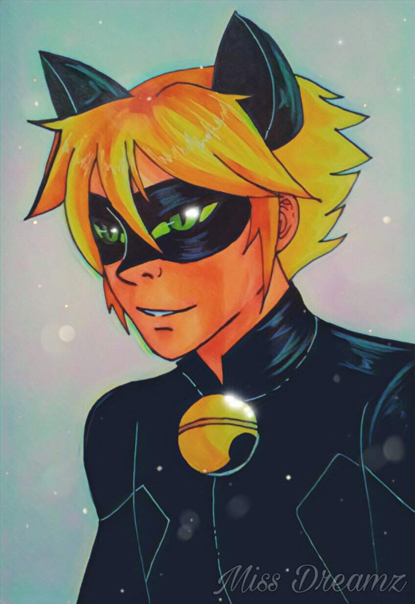 Chat Noir {Gift} | Miraculous Amino