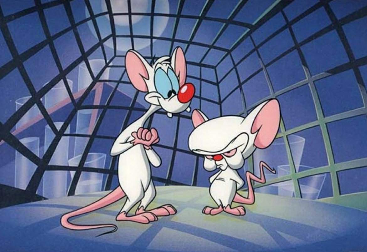 Pinky and The Brain | Wiki | Animaniacs Amino