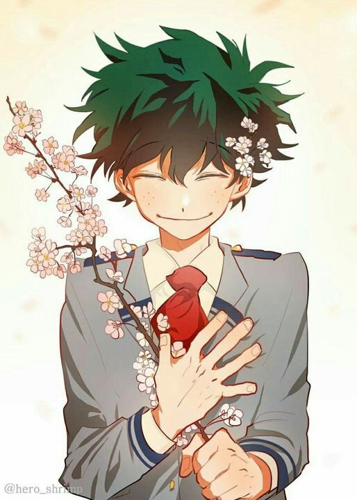 Izuku midoria | Wiki | My Hero Academia Amino