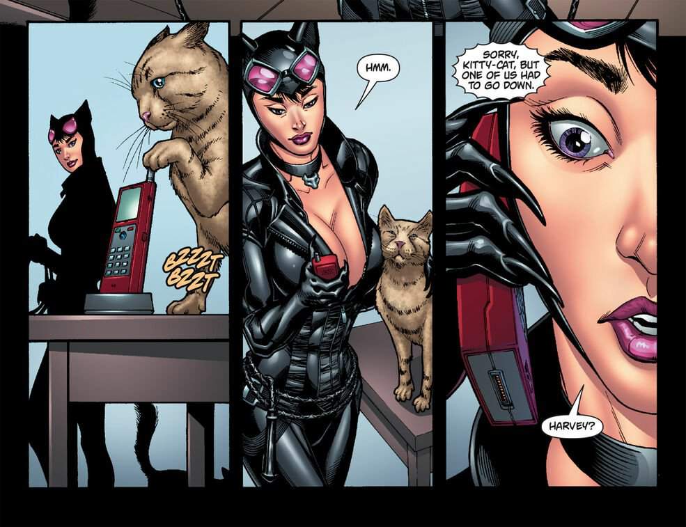 Catwoman (Arkhamverse) | Wiki | •Cómics• Amino