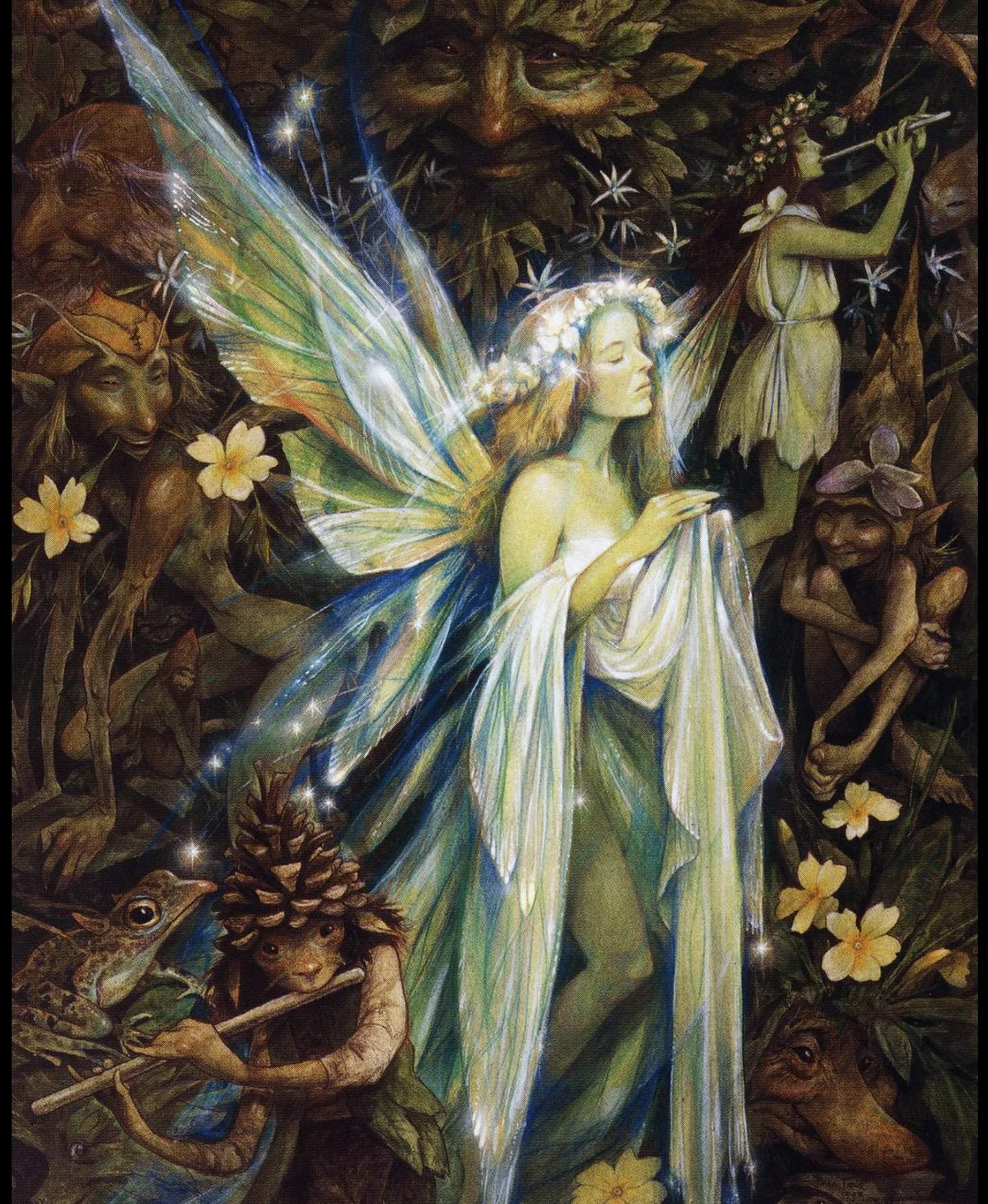 The Fae | Wiki | Wiccan Amino