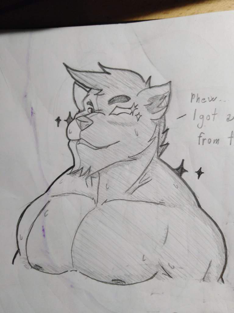 gay bara furry