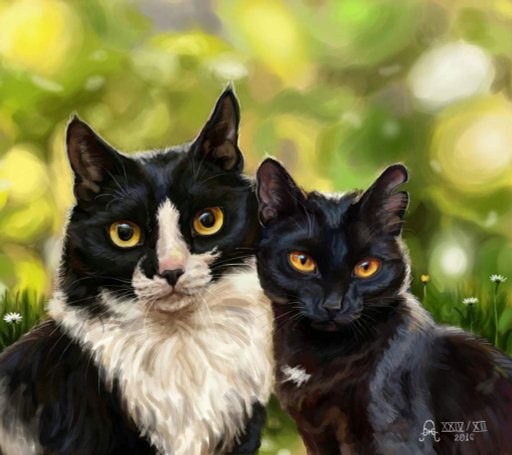 Ячмень коты воители