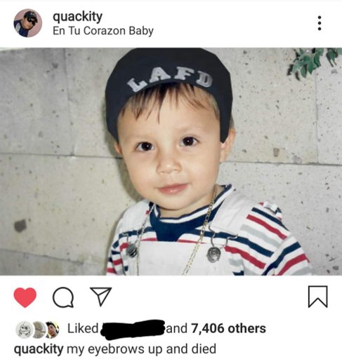 44+ Habibi Meme Quackity Pictures