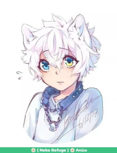 Featured Neko Refuge Amino