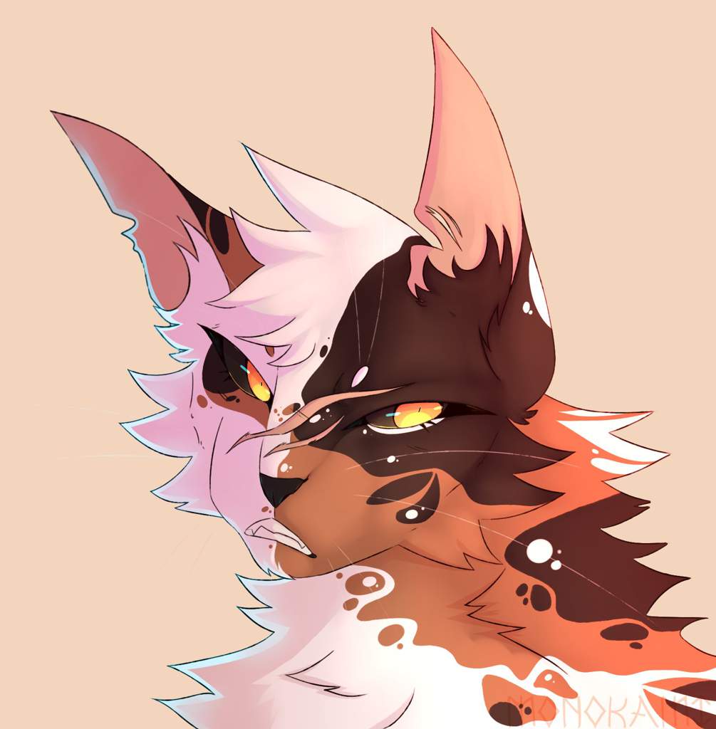 Mapleshade Warriors Amino