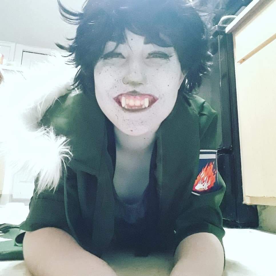 Nepeta Leijon Cosplay Amino