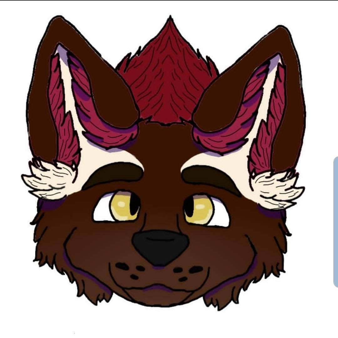 Taking headshot commissions starting at 50 AC per headshot | Furry Amino