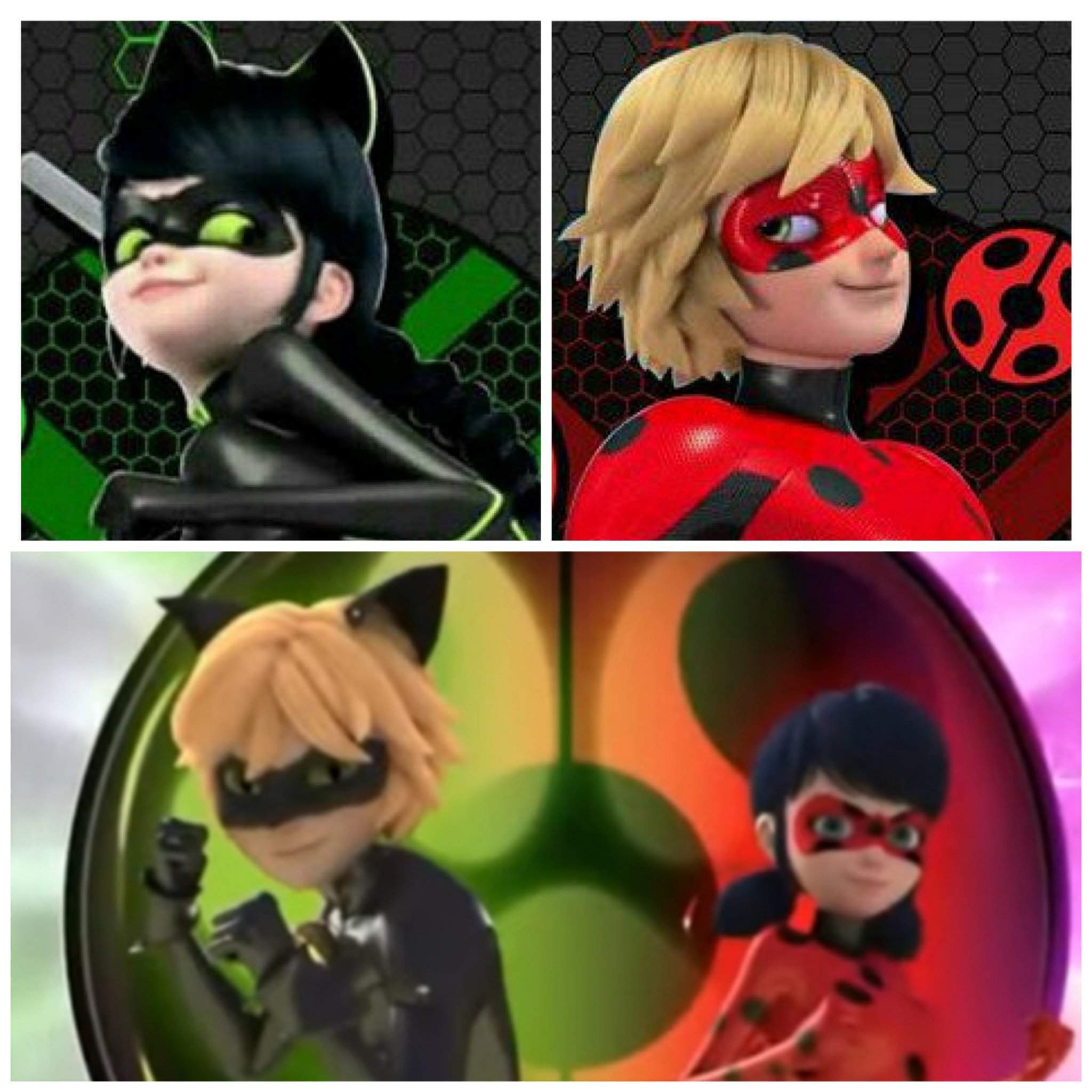 Mister Bug e Lady Noir Vs Ladybug e Cat Noir | Miraculous Ladybug ! Amino