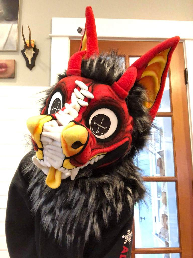 Suit is here | Fursuit Maker Amino Amino