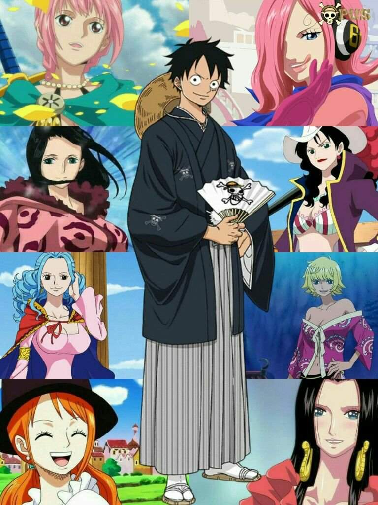 One Piece Amino