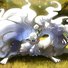 amino-❄️Vulpix❄️-36e522f9