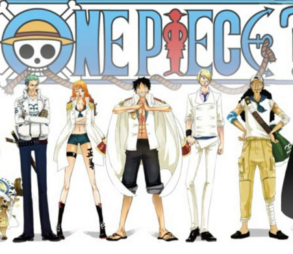 Marine Wiki One Piece Amino