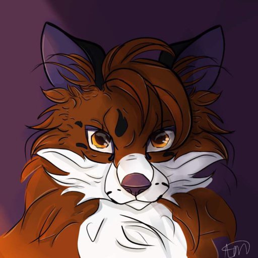 Kallik - Foxsona | Wiki | Foxcraft Amino