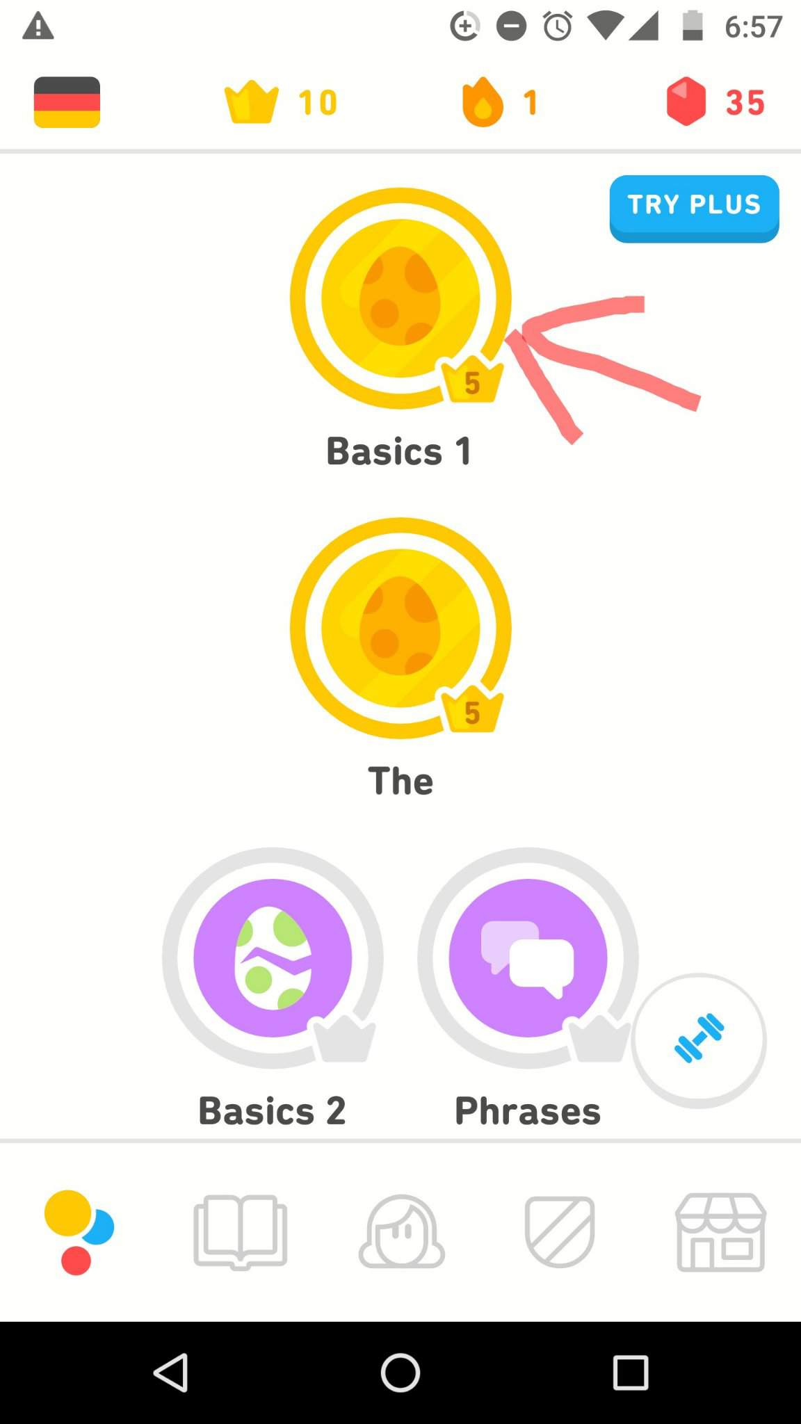 Duolingo Grammer Notes | Language Exchange Amino