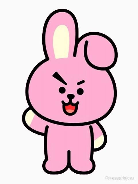 chimmy or cooky | BTS Amino