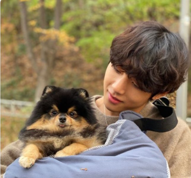 Image result for yeontan cute"