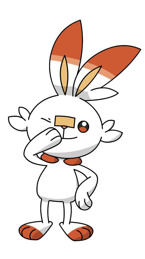 Noah & Scorbunny | Wiki | Pokémon RPers Amino Amino