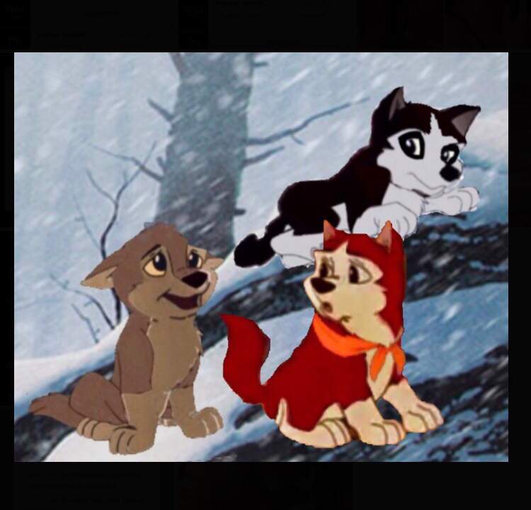 Balto, Jenna and Steele as puppies | Balto Amino