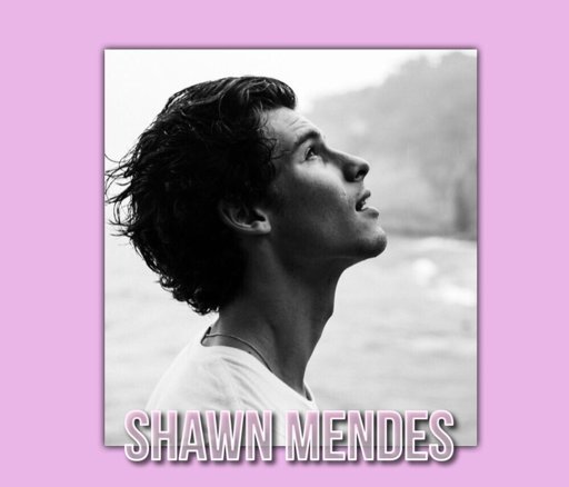 shawn mendes saint valentines day