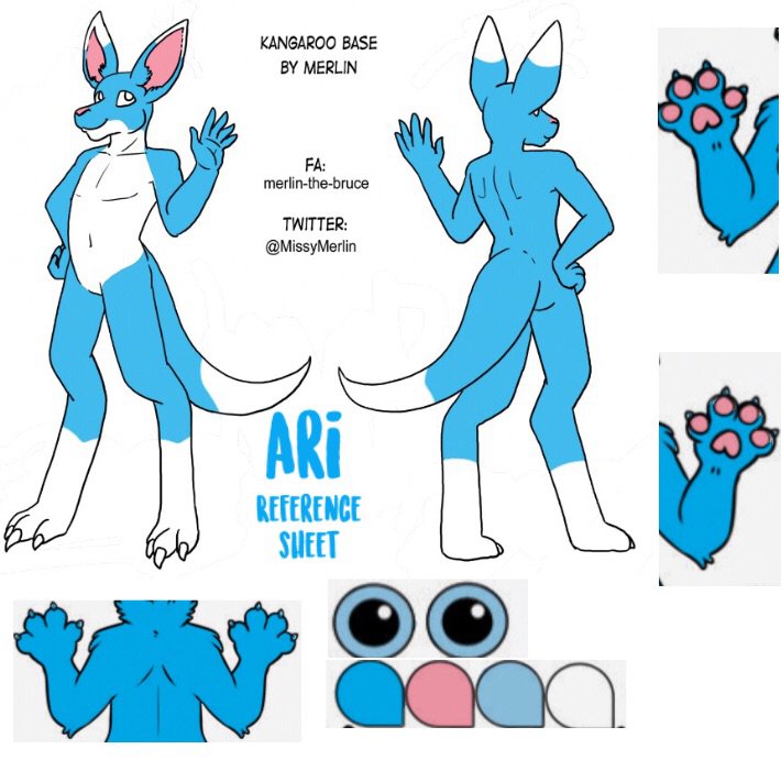 All About Ari | Wiki | Furry Amino