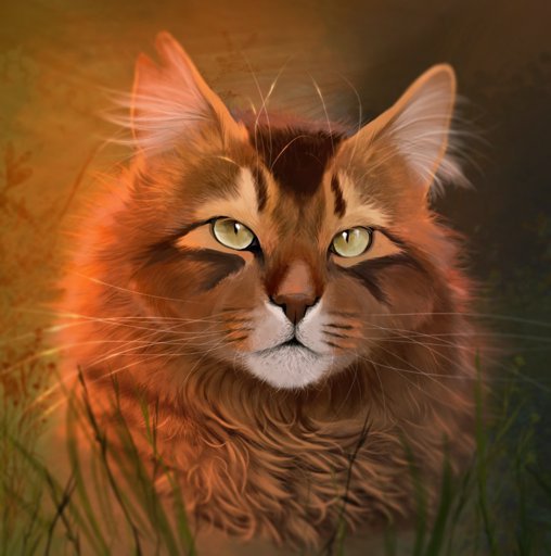 Realistic cat drawing | Aphmau warrior cat Amino