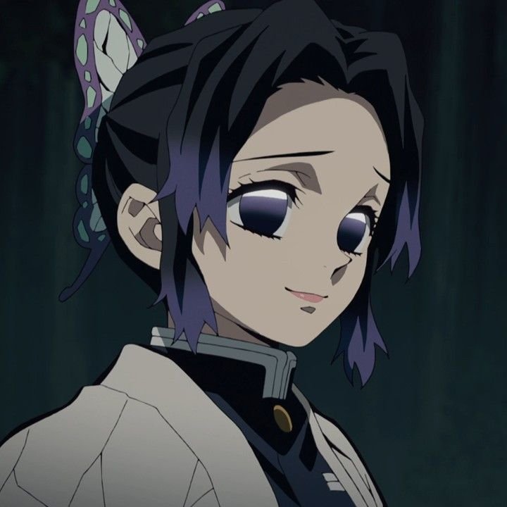 Shinobu Kocho | Wiki | Demon Slayer: Kimetsu No Yaiba Amino