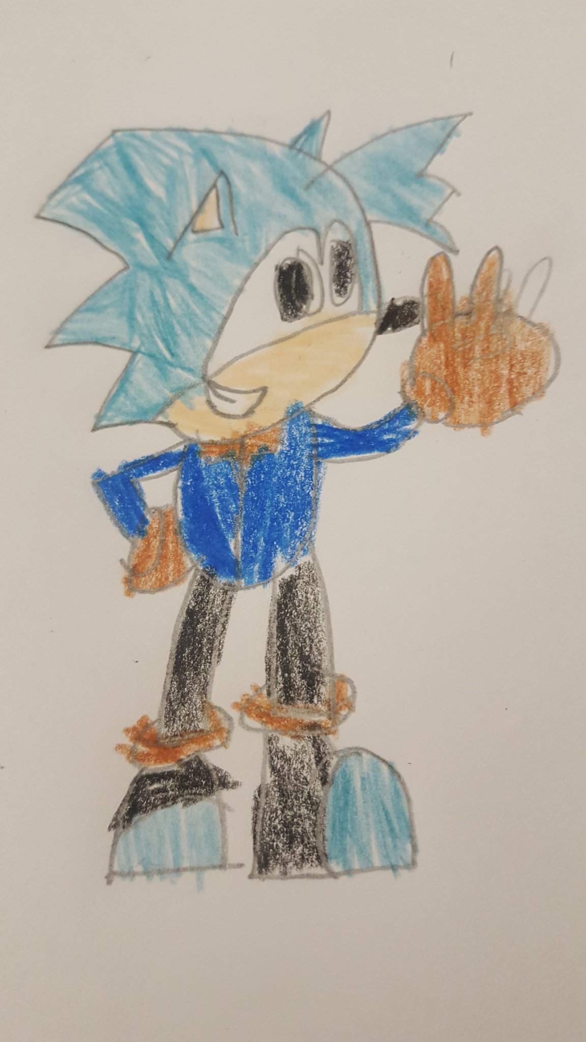 Blizzard The Hedgehog | Wiki | Sonic the Hedgehog! Amino