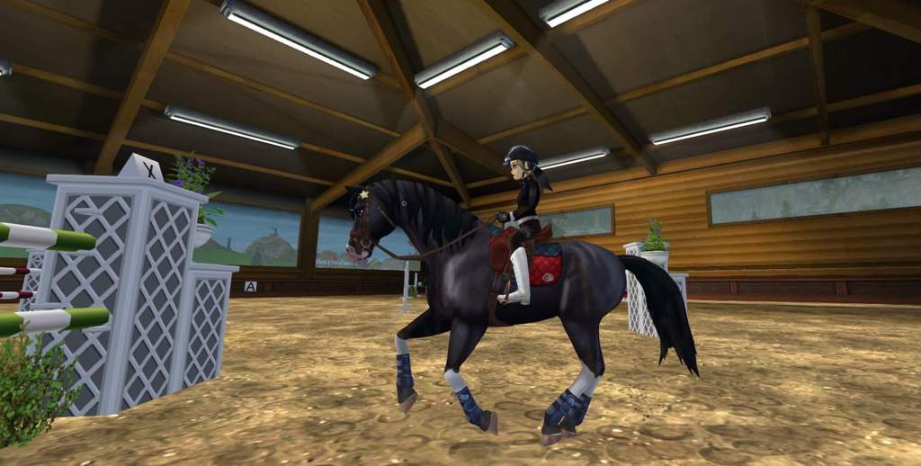 Jumping lesson prep(SSO edit) | Star Stable Online Amino