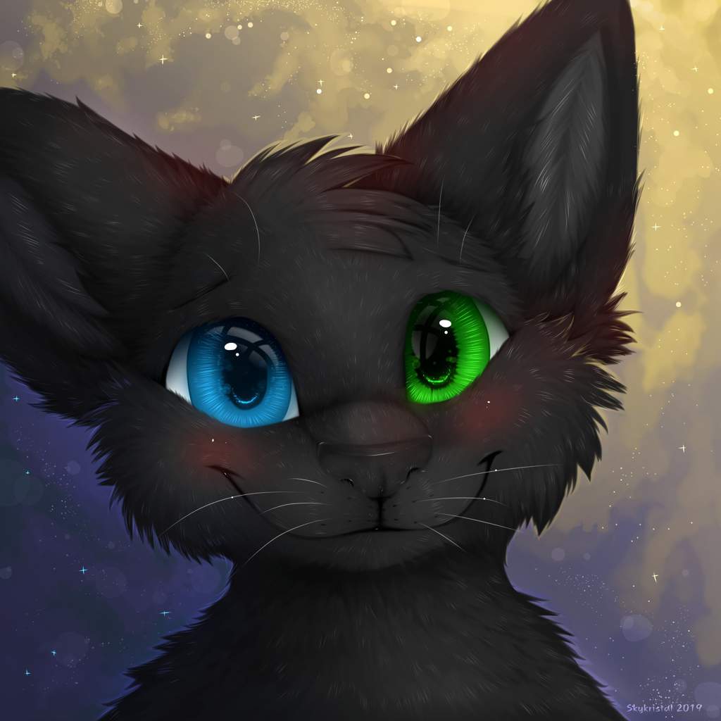 warrior cat stuffies