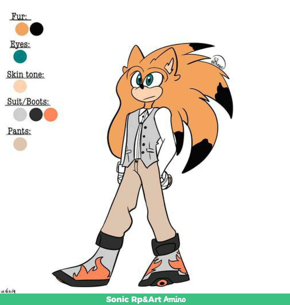 Torch the hedgehog (Remastered) | Wiki | Sonic Rp&Art Amino