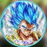 amino-Very Vegito-5d3f3508