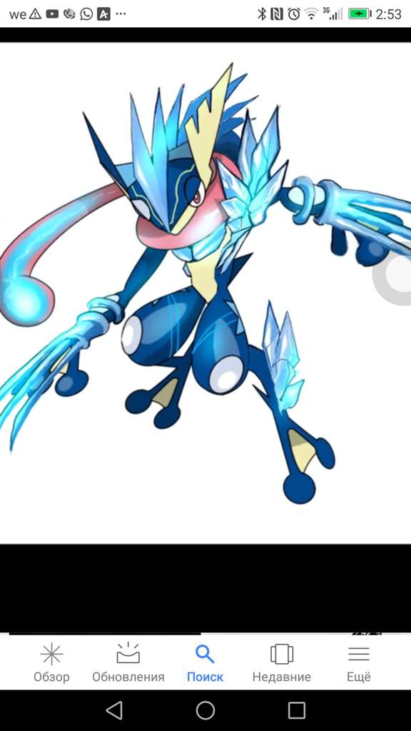 Mega Greninja X Pokemon Amino