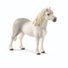 amino-silver star stable-63a1071d