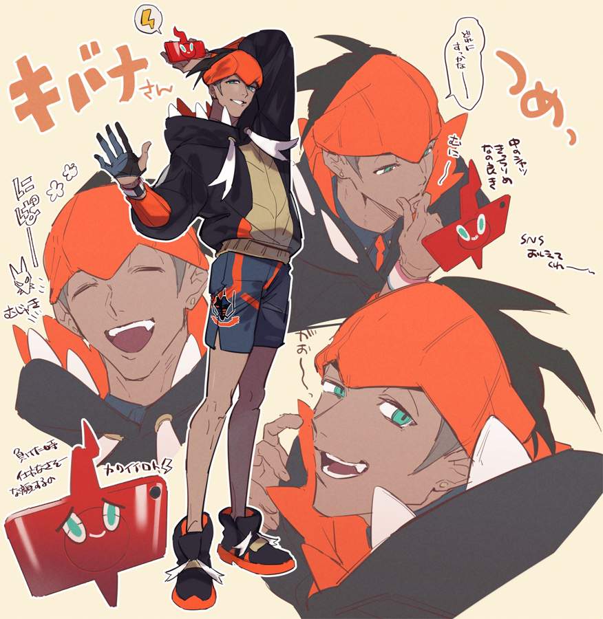 what pokemon does raihan have