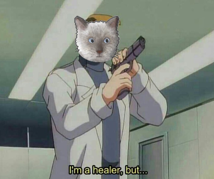 Healer memes | Cattails Amino