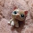 amino-♡Lps Pastel Pup♡-506ec7dc