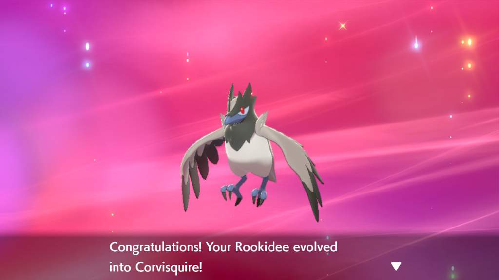 Shiny Rookidee evo line | Pokémon Amino