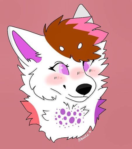 💜~{Cupcake}~💜 | Furry Amino