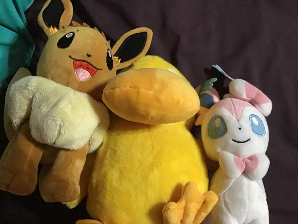 pokedoll collection