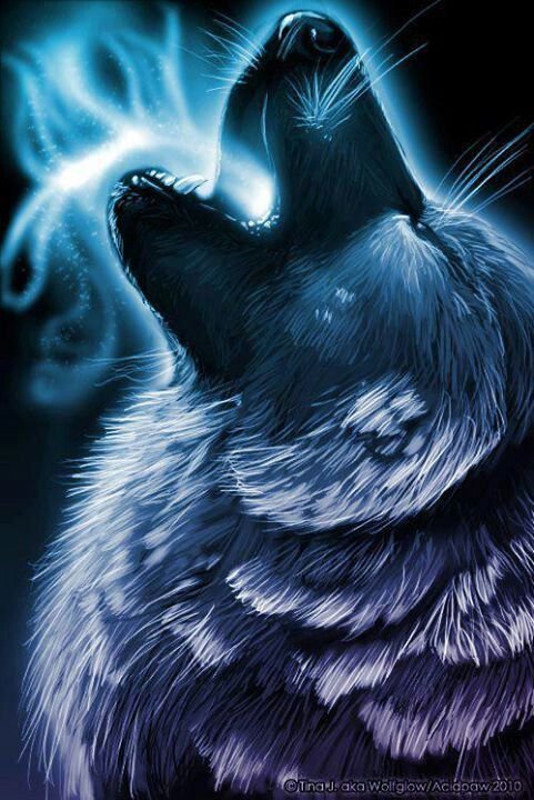hyper wolf