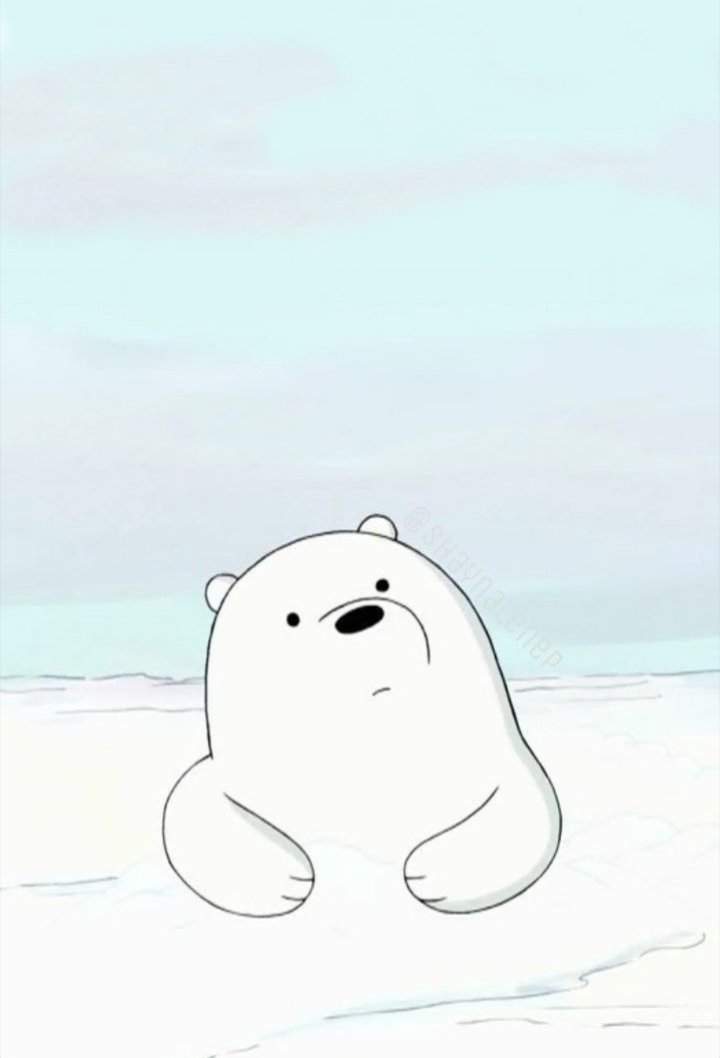 Urso polar bebe | Wiki | Ursos Sem Curso Amino