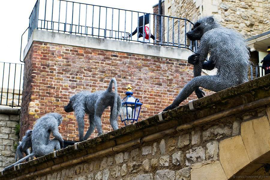 Royal zoo. Лондонский Тауэр зоопарк. Королевский зверинец Тауэр. Лондонский Тауэр монетный двор. Лондонский Тауэр зоопарк монетный двор и Королевский Арсенал.