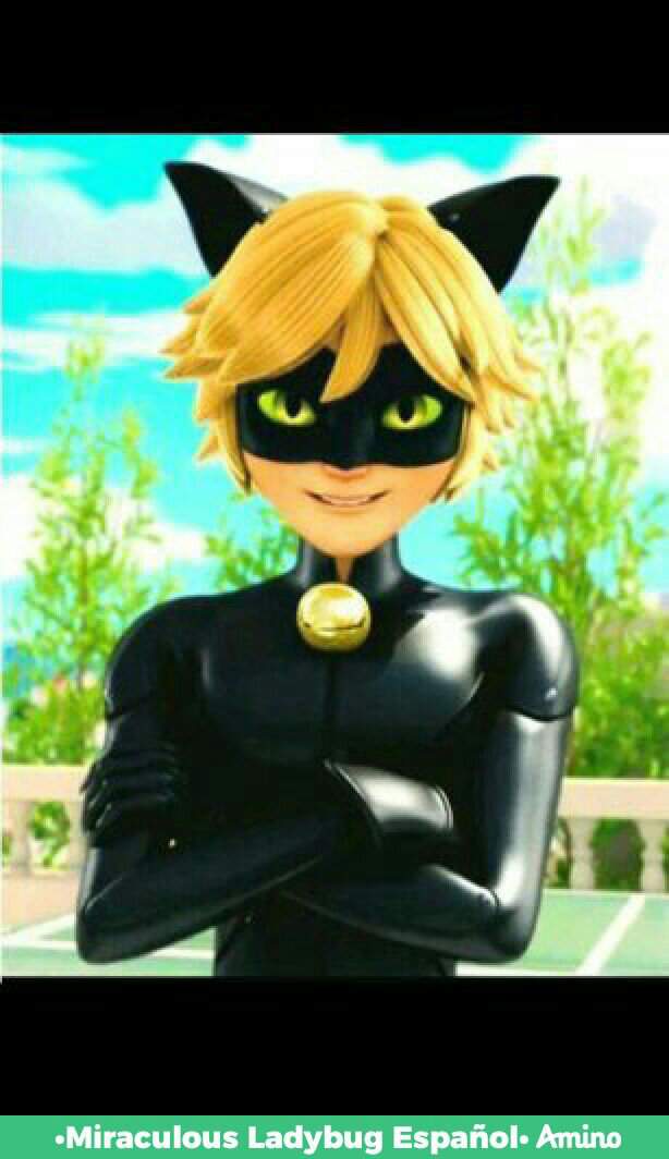 Cat nua | Wiki | •Miraculous Ladybug Español• Amino