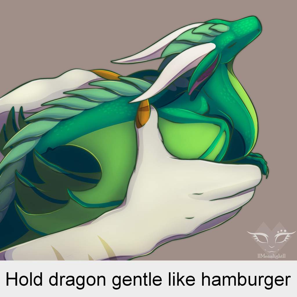 Dragons held. Dragon hold. Hold gentle like Hamburger.