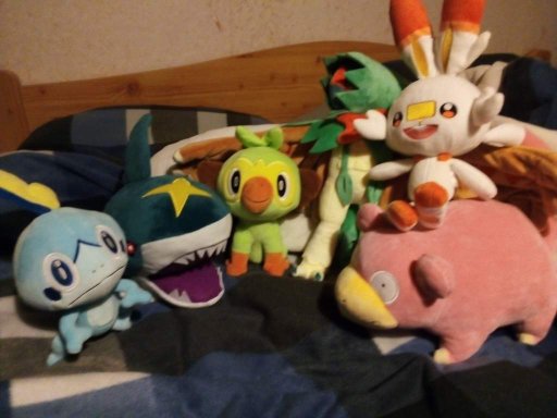 sharpedo plush