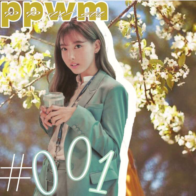 ️ppwm #001 ~Haesoo [ote] | Kpop Pen Pals Amino Amino