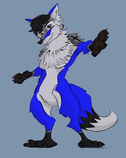 Blue Fox | Wiki | Furry Amino