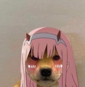 Dog Pfp Meme