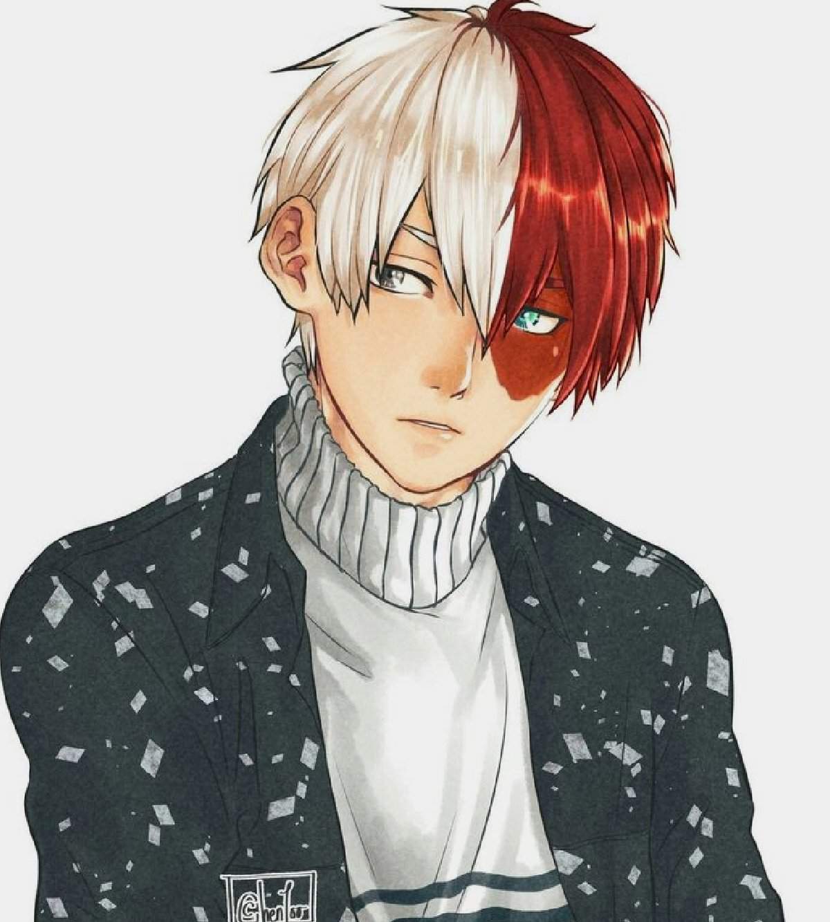 Shoto todoroki | Wiki | My Hero Academia Amino